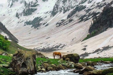 Kashmir 6 Days 5 Night Tour Package
