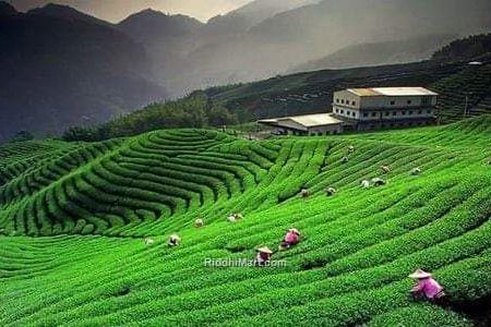 Sikkim Darjeeling 5N 6D Tour From Dhaka